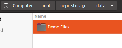 File browser showing the Demo Files subfolder inside the nepi_storage data directory
